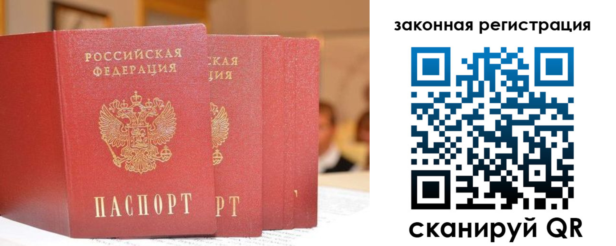 прописка поиск в Павловском Посаде